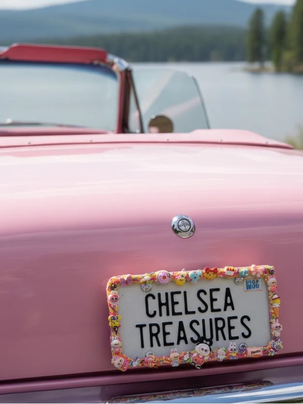 Pink Decorative License Plate Frame-Handmade monster